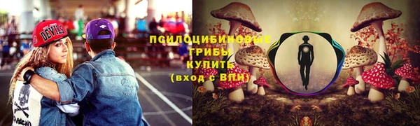 стаф Беломорск