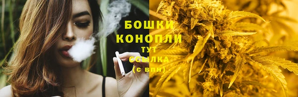 стаф Беломорск